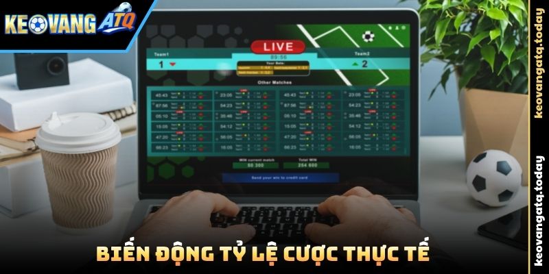 Biến động tỷ lệ cược thực tế