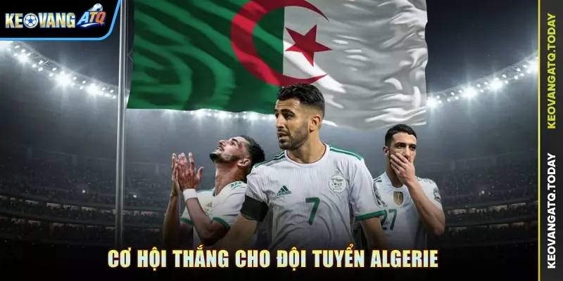 Cơ hội thắng cho đội tuyển Algerie