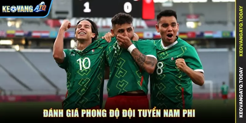 Đánh giá phong độ đội tuyển Nam Phi