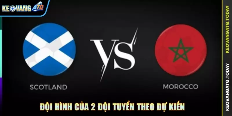 Đội hình của 2 đội tuyển theo dự kiến