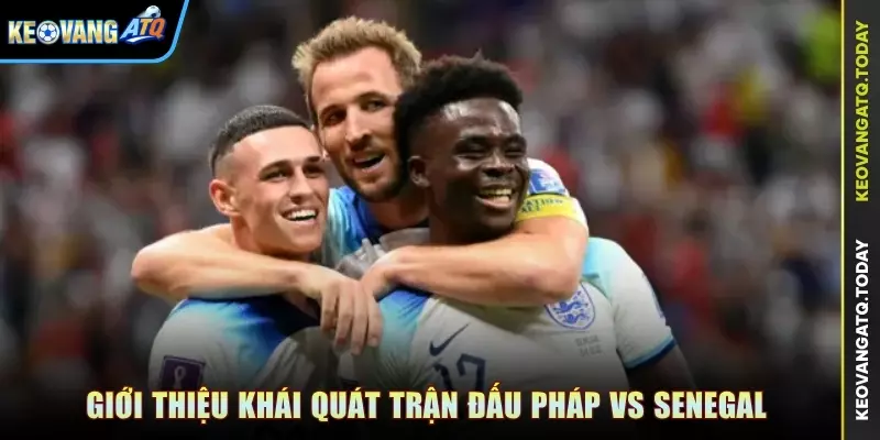 Giới thiệu khái quát trận đấu Pháp vs Senegal