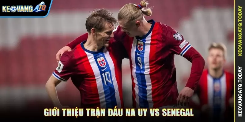 Giới thiệu trận đấu Na Uy vs Senegal