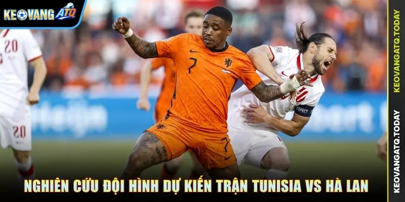 Nghiên cứu đội hình dự kiến trận Tunisia vs Hà Lan