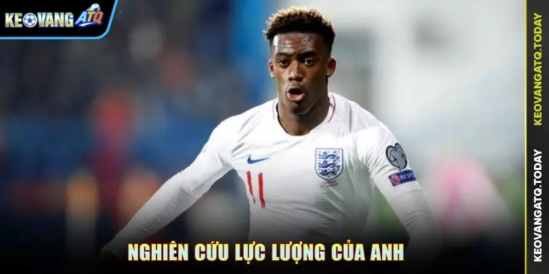 Nghiên cứu lực lượng của Anh