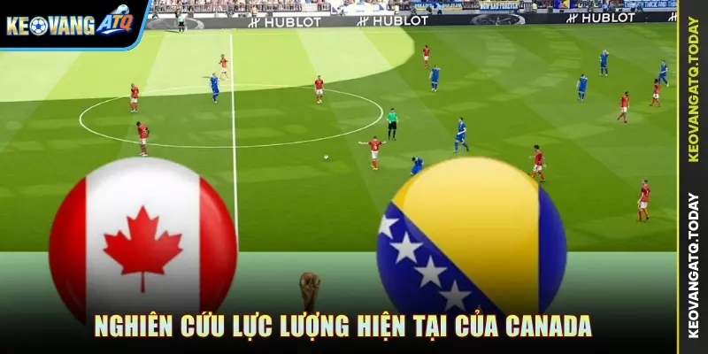 Nghiên cứu lực lượng hiện tại của Canada
