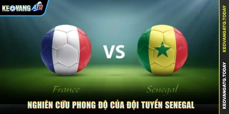 Nghiên cứu phong độ của đội tuyển Senegal
