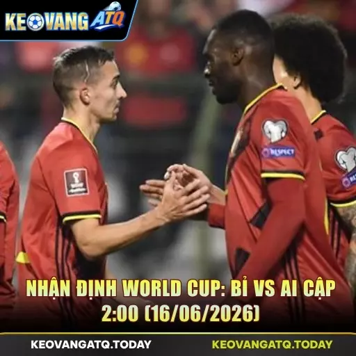 Bỉ vs Ai Cập