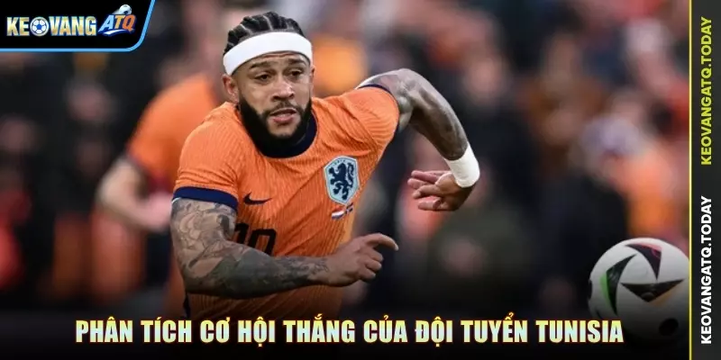 Phân tích cơ hội thắng của đội tuyển Tunisia