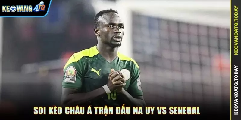 Soi kèo Châu Á trận đấu Na Uy vs Senegal