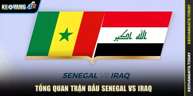 Tổng quan trận đấu Senegal vs Iraq