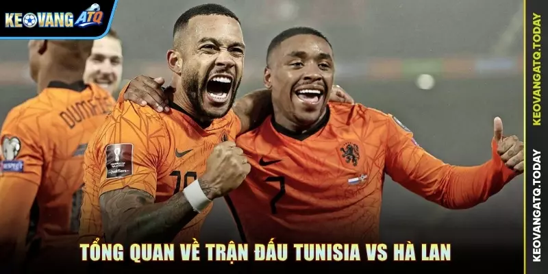 Tổng quan về trận đấu Tunisia vs Hà Lan